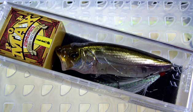 POP-MAX SCHOOL BAIT POP-MAX SCHOOL BAIT