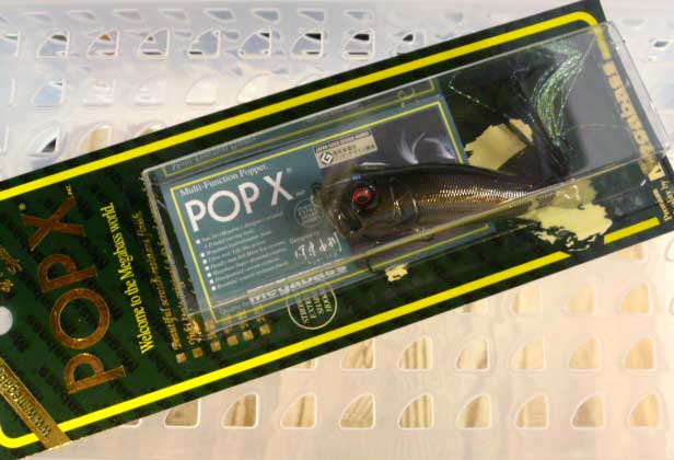 POP-X BACK TO THE GARAGE 2012 GG Black Bug
