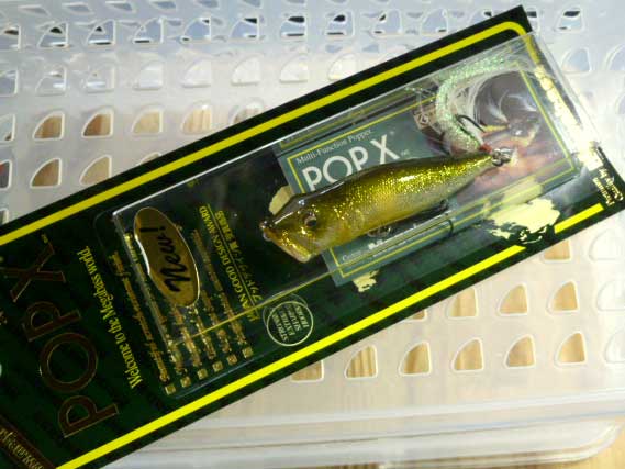POP-X GLX Ayu POP-X GLX Ayu