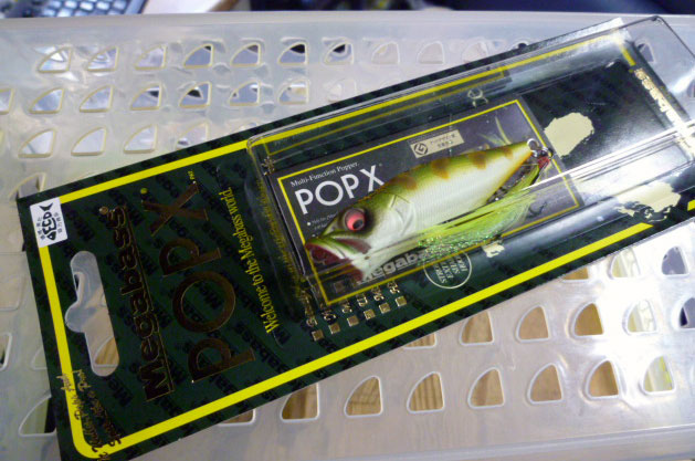 POP-X Glow CMF POP-X Glow CMF