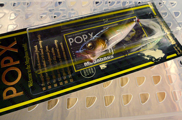 POP-X Hakusei Oikawa POP-X Hakusei Oikawa