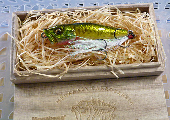 WOODY POP-X GLX Woody Bass WOODY POP-X GLX Woody Bass