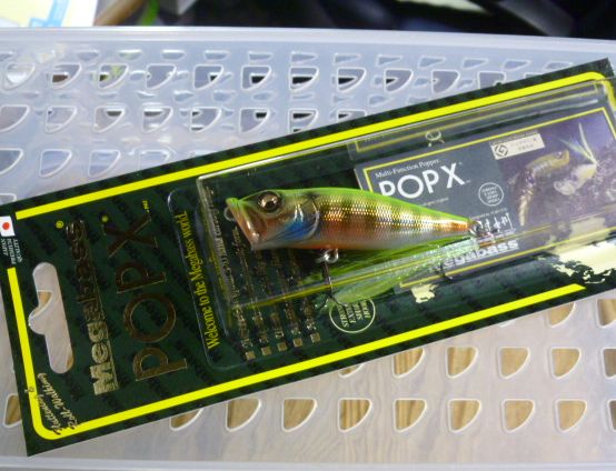 POP-X GG Chart Back Gill POP-X GG Chart Back Gill