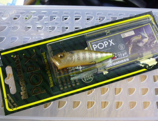POP-X GLX Sunshine Gill POP-X GLX Sunshine Gill