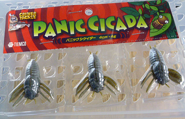 Panic Cicada Green pumpkin