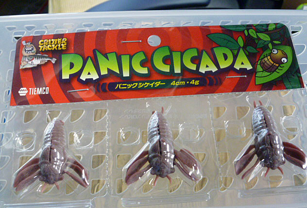 Panic Cicada Plum