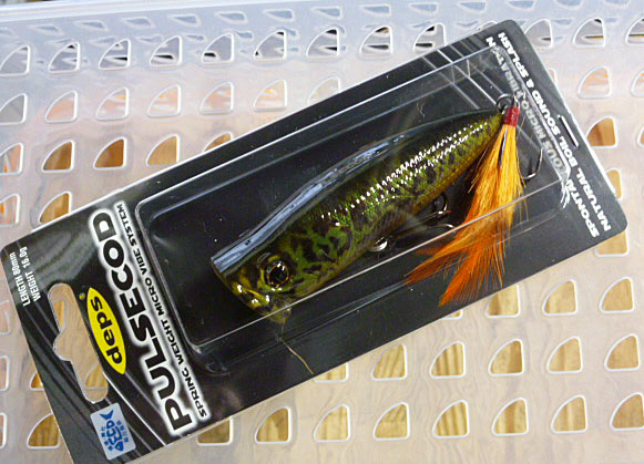 PULSECOD Murray Cod PULSECOD Murray Cod
