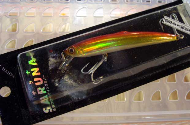 SARUNA 95F #05 RG