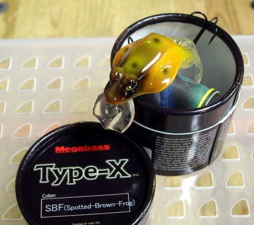 TYPE-X SBF TYPE-X SBF