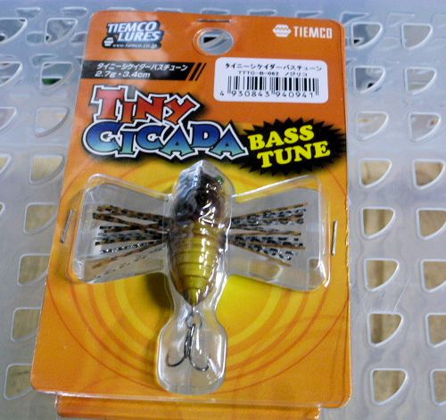 TINY CICADA Bass Tune Nojiriko