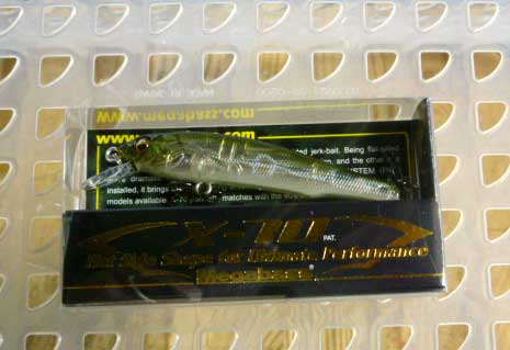 X-70 GP AVOCADO X-70 GP AVOCADO