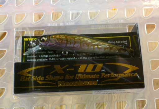 X-70 GG TONGYO FEMALE X-70 GG TONGYO FEMALE