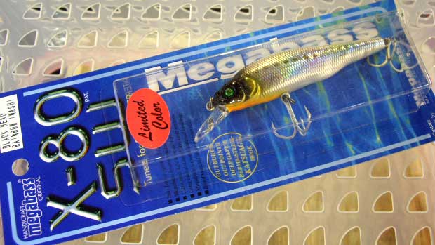 X-80 SW BLACK HEAD RAINBOW IWASHI X-80 SW BLACK HEAD RAINBOW IWASHI