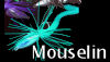 Mouselin 10g