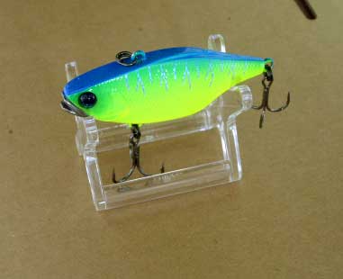 USED #31109 TN/60 Blue Back Tiger