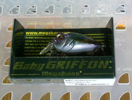 BABY GRIFFON GS MOROKO BABY GRIFFON GS MOROKO