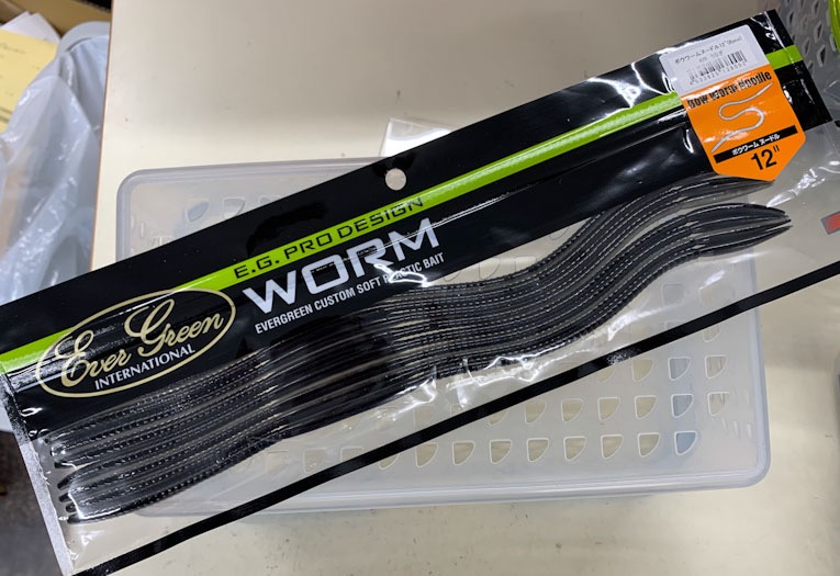 Bow Worm Noodle 12inch Eel