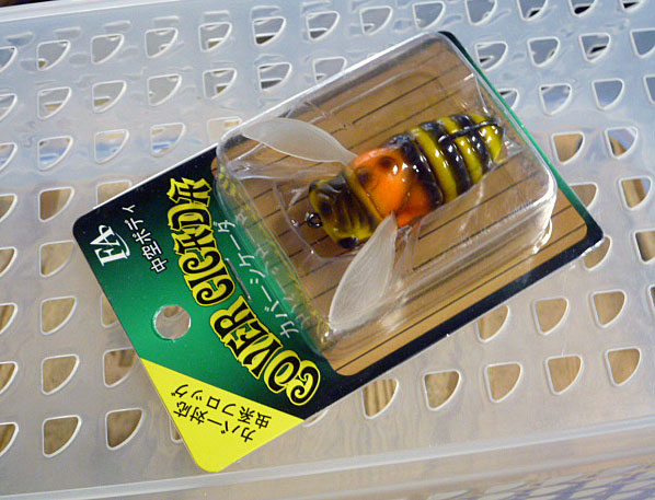 Cover Cicada Honey Bee