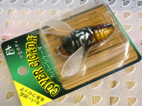 Cover Cicada Brown Cicada