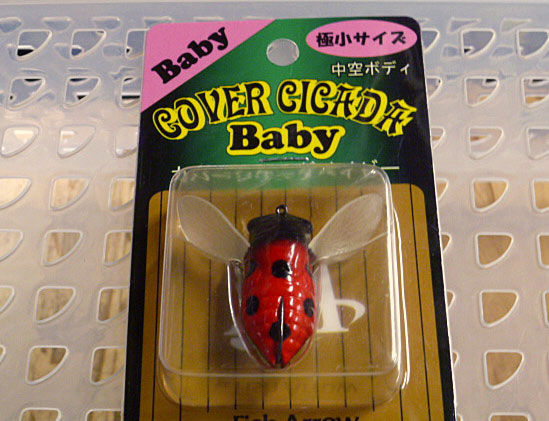 Cover Cicada Baby Lady Bug