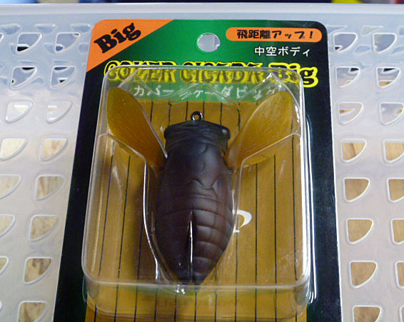 Cover Cicada Big Aburazemi