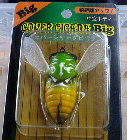 Cover Cicada Big Spring Cicada - Click Image to Close