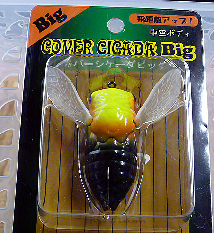 Cover Cicada Big Yellow Head Cicada