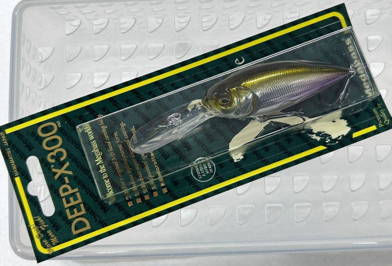 DEEP-X 300 GG Wakasagi