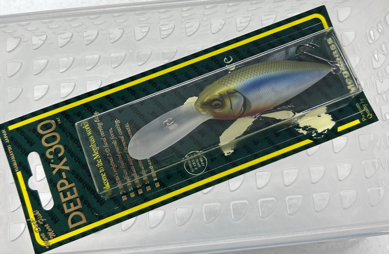 DEEP-X 300 Frosted Wakasagi