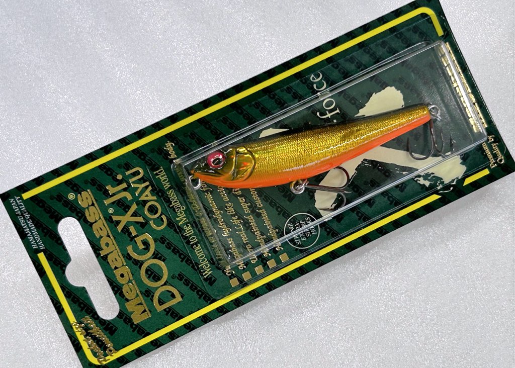 DOG-X Jr. COAYU GG Megabass Kinkuro