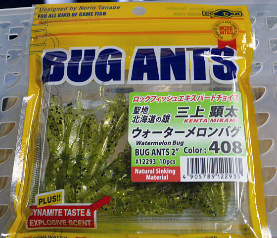 BUG ANTS 2inch 408:Watermelon Bug