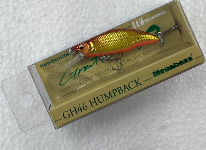 GH46 HUMPBACK M KINORE