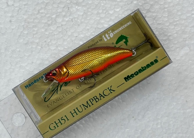 GH51 HUMPBACK M Kinore