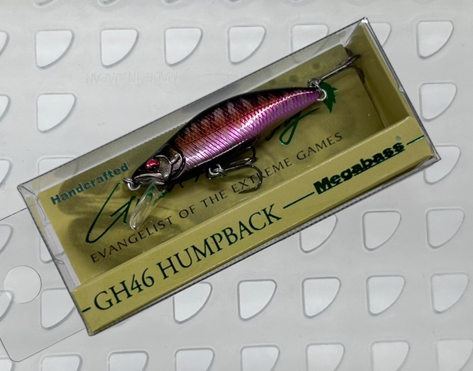 GH46 HUMPBACK AL AUTUMN HALATION