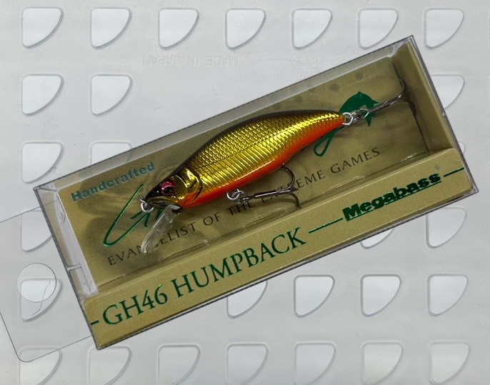 GH46 HUMPBACK M KINKURO