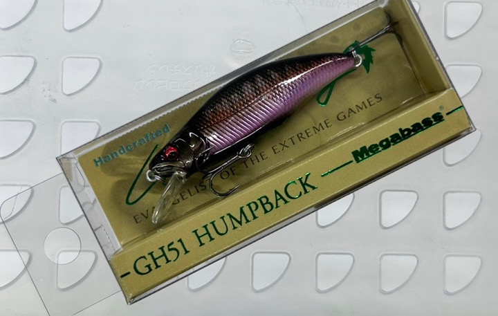 GH51 HUMPBACK AL AUTUMN HALATION