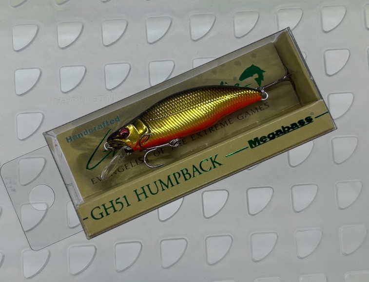 GH51 HUMPBACK M Kinkuro