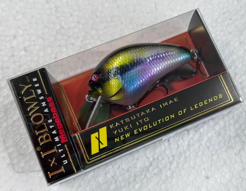 IxI BLOWLY ITO CICHLID
