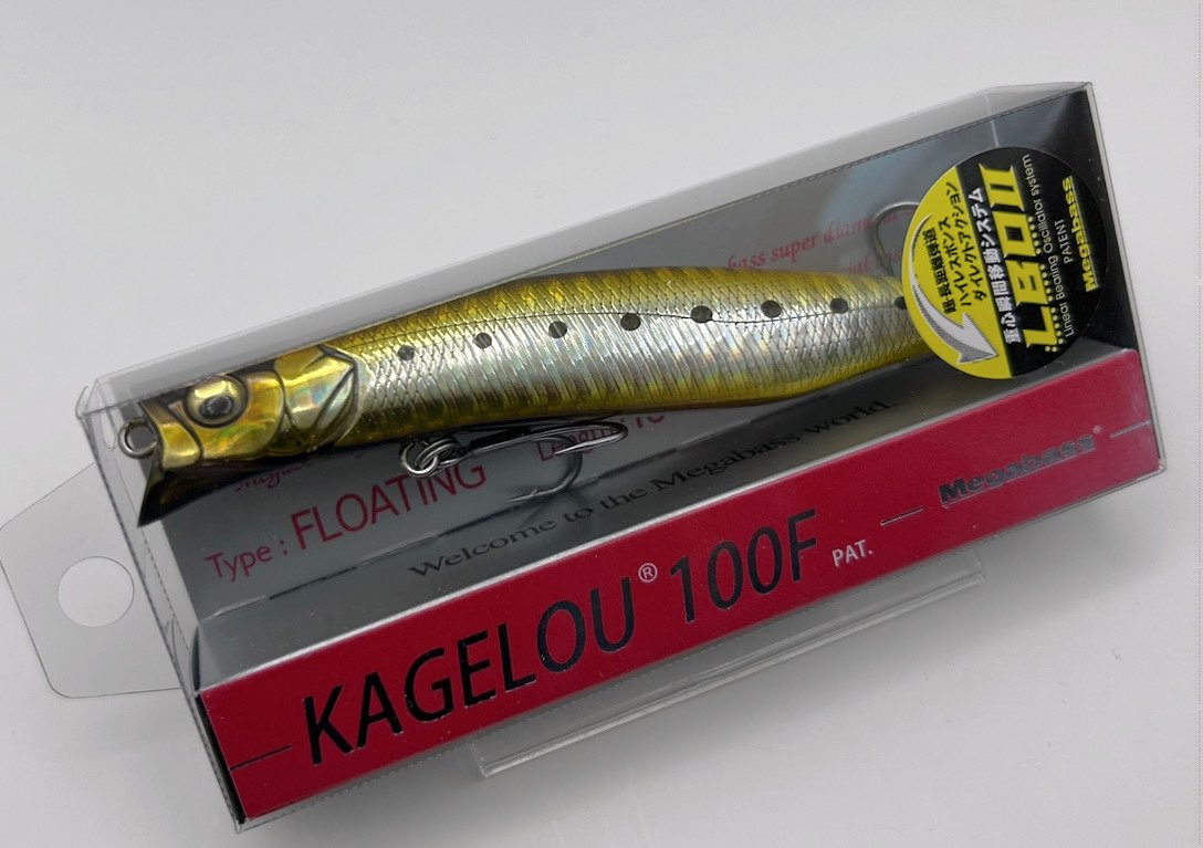 KAGELOU 100F GG STAIN IWASHI