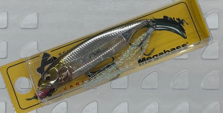 Karashi HT ITO WAKASAGI KS