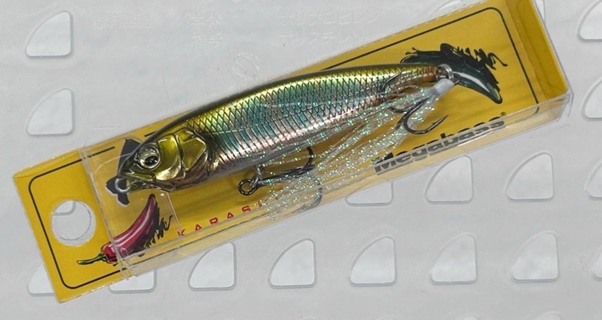 Karashi WAGIN OIKAWA KS