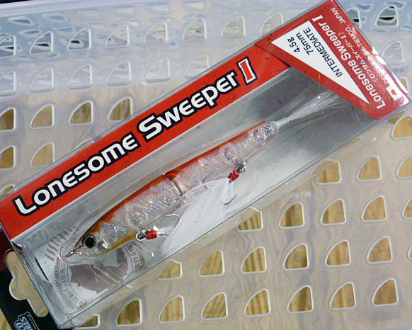 Lonesome Sweeper I Aurora Wakasagi - Click Image to Close