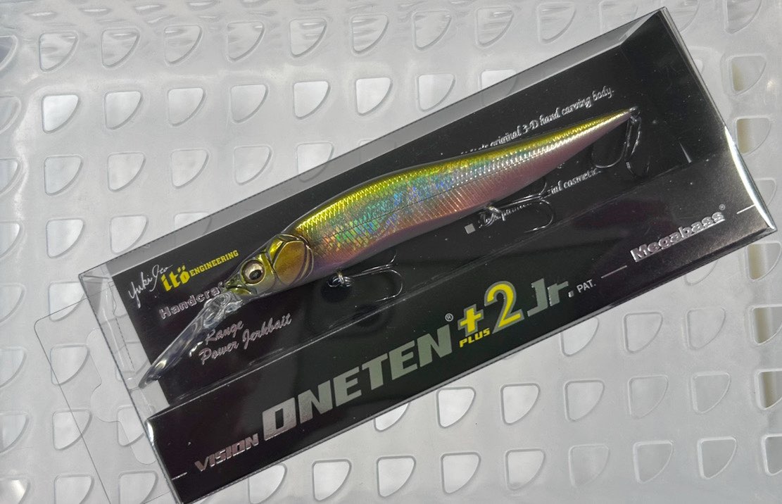 VISION ONETEN+2 Jr. GG OIKAWA