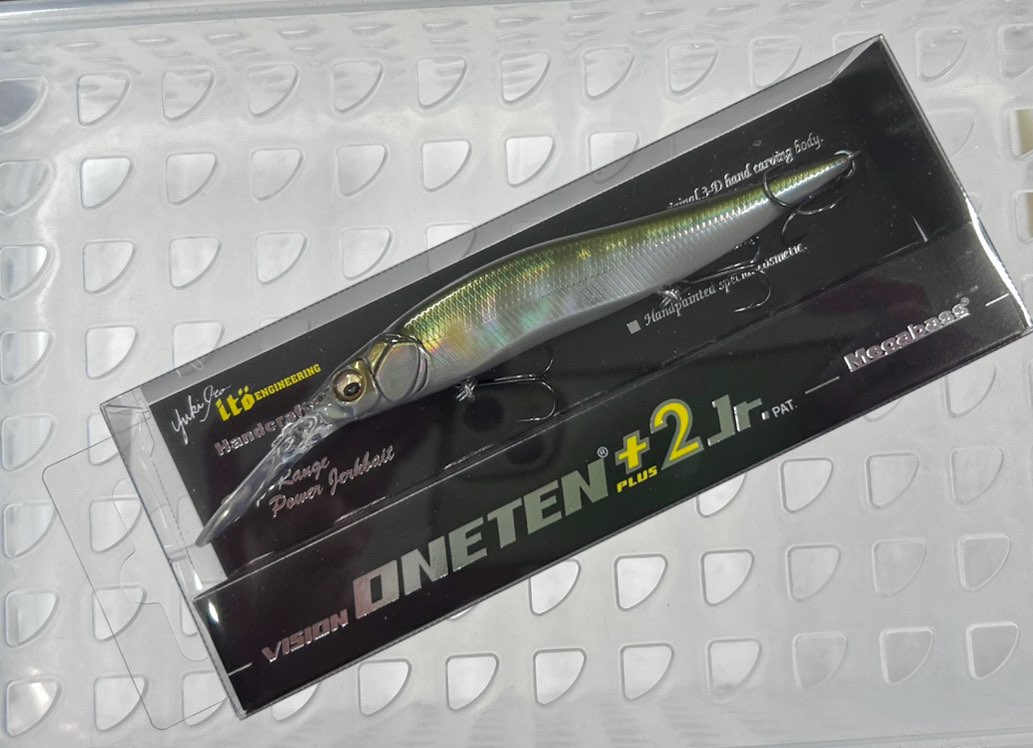 VISION ONETEN+2 Jr. SH SE AYU