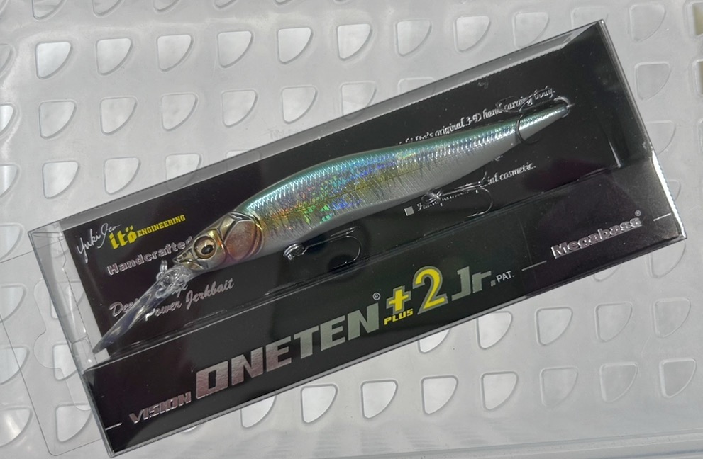 VISION ONETEN+2 Jr. GG HASU