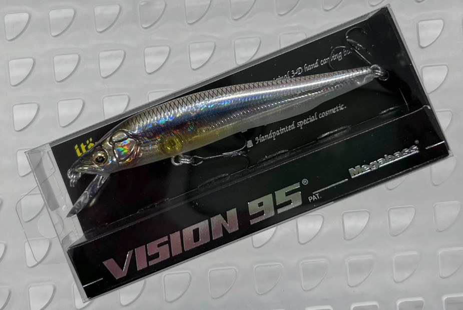 VISION Q-GO Kasumi Ito