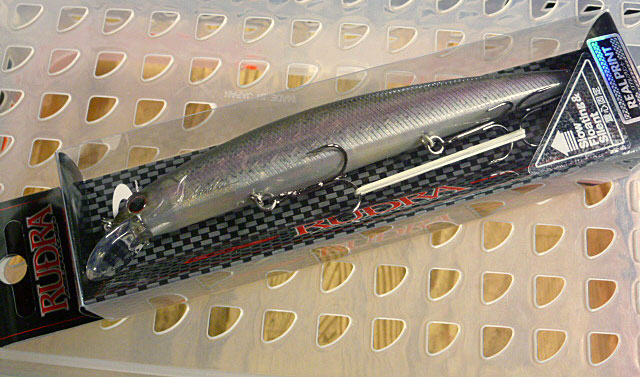 RUDRA Spec2 130SF Real Rainbow Trout