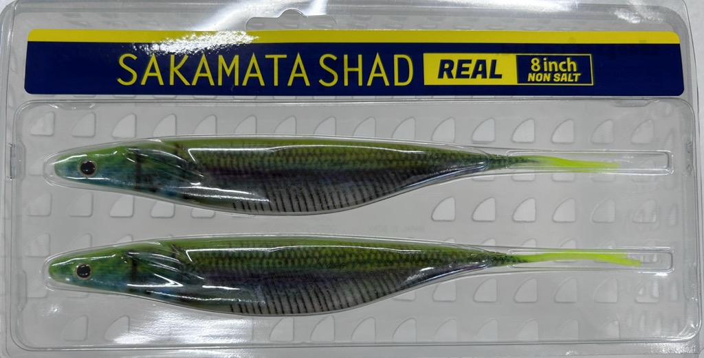 SAKAMATA SHAD REAL 8inch NON-SALT Chart Back Wakasagi