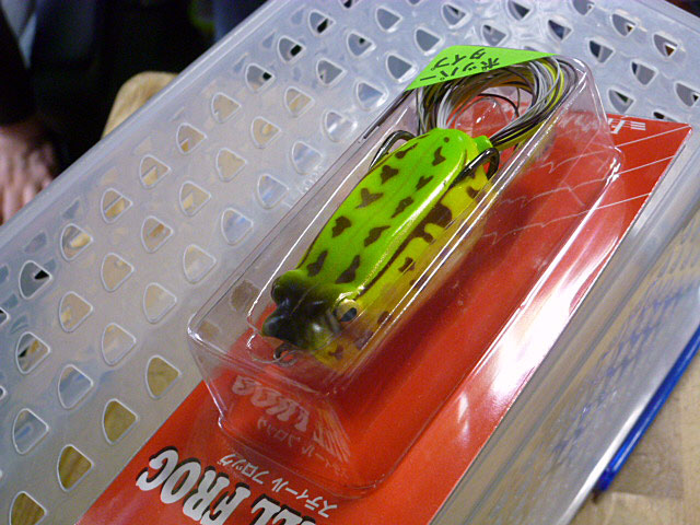 Still Frog Tonosama Frog