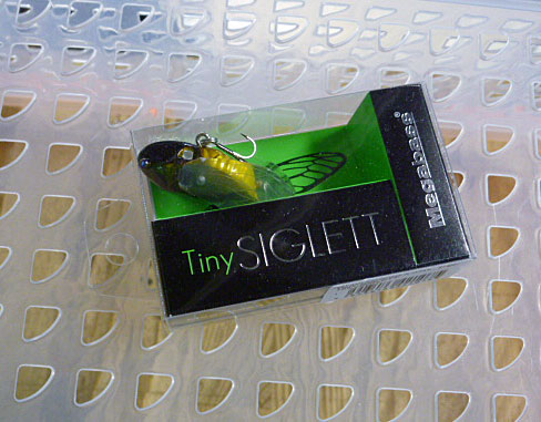 Tiny Siglett Higurashi - Click Image to Close